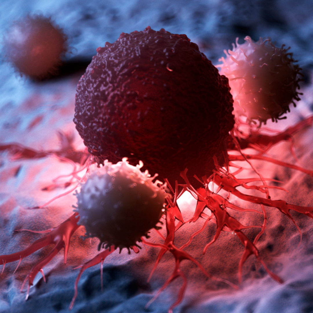 Reprogramación FicuVIR