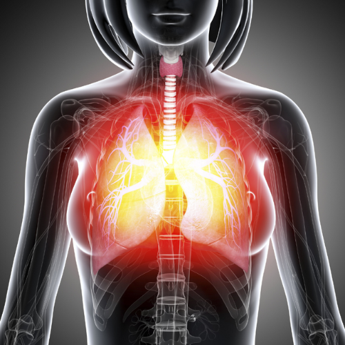 Reprogramación FicuVIR