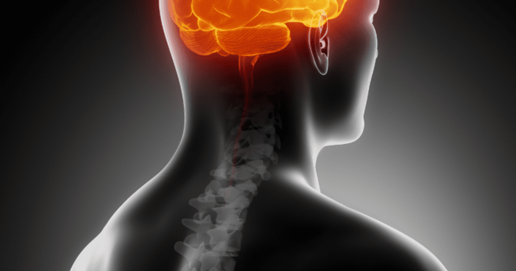Imagen 3D de columna vertebral en gris y cerebro en naranja, vista lateral izquierda, ilustrando conexión entre estructura corporal y procesos mentales