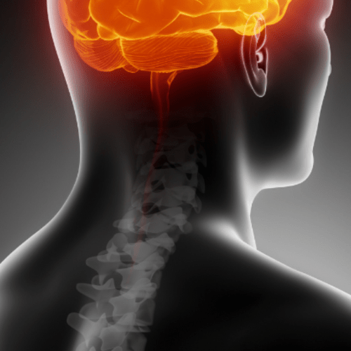 Reprogramación FicuVIR