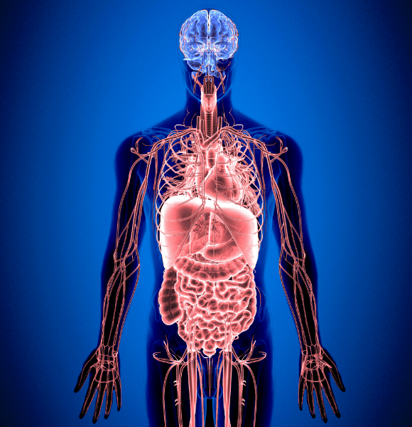 Reprogramación FicuVIR